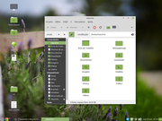MATE Linux Mint 20 no capricho